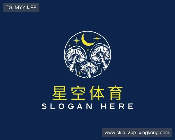 介绍星空体育在线登入